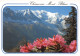 74-CHAMONIX-N°3833-A/0021 - Chamonix-Mont-Blanc