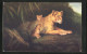 Künstler-AK Löwin Mit Zweien Ihrer Jungtiere  - Tiger