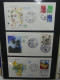 Delcampe - Frankreich Und Gebiete FDCs Ab 2002 Besammelt Im Ringbinder #LY693 - Sonstige & Ohne Zuordnung