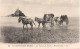 . 50 . LE MONT-ST-MICHEL . Les Voiture De Genêts . Attelages . - Le Mont Saint Michel