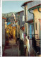 AGMP6-0491-66 - COLLIOURE - Vieille Rue  - Collioure