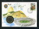 "BRASILIEN" 1985, Numisbrief (A2028) - Lettres & Documents