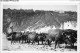 AGUP2-0078-PORTUGAL - NAZARE ATTELAG DE BOEUFS SUR LA PLAGE ET PECHEURS - Leiria