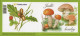 Booklet 984 - 985 Czech Republic Edible Mushrooms 2018 - Funghi