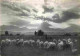 Animaux - Moutons - CPM - Voir Scans Recto-Verso - Autres & Non Classés