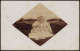 Kinder Künstlerkarte Fotokarte Kleinkind Auf Fell 1903 Privatfoto - Portraits