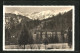 AK Dorf Kreuth, Waldsanatorium Dr. May  - Autres & Non Classés