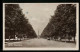 AK Berlin-Tiergarten, Siegessäule  - Tiergarten