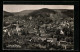 AK Baden, Panoramablick Vom Schartenfels  - Baden