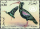 Algérie (Rep) Poste N** Yv: 772/775 Protection Nature Oiseaux - Algeria (1962-...)