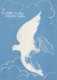 BIRD Animals Vintage Postcard CPSM #PAN242.A - Vögel