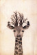 GIRAFE Animaux Vintage Carte Postale CPSM #PBS958.A - Girafes