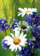 FIORI Vintage Cartolina CPSM #PBZ796.A - Flowers