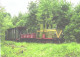 Train, Railway, Locomotive Wls 40-1189 - Trains