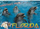 Animaux - Dauphins - CPM - Voir Scans Recto-Verso - Delfines