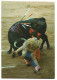 PASE DE CASTIGO. RODILLA EN TIERRA.-  CORRIDA DE TOROS.- ESPAÑA - Bull