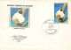 Enveloppe 1er Jour Lémuriens-Verreauxi Sifaka Madagascar-Antananarivo-Beau Timbre-RARE   L2911 - Madagascar (1960-...)