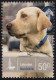 AUSTRALIA 2008 QEII 50c Multicoloured - Working Dogs-Labrador FU - Usati