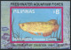 Philippines 2182a-2183a,MNH.Mi Bl.50-I,51-I. Freshwater Aquarium Fish,1992.EXPO. - Philippines