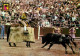 Corrida - Suerte De Picas - Chevaux - Carte Neuve - CPM - Voir Scans Recto-Verso - Corrida