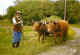 Animaux - Vaches - Scène Paysanne - Attelage - Paysans - Editeur Cely - Flamme Postale - CPM - Voir Scans Recto-Verso - Vaches