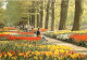 Pays-Bas - Nederland - Lisse - Keukenhof - Fleurs - CPM - Voir Scans Recto-Verso - Lisse