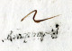 "BAYERN" 1797, Vorphila-Brief Mit L1 "V. Augsburg" (Fe. 148-7) (R2005) - Préphilatélie