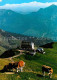 72751777 Rotwandhaus Panorama Blick Gegen Hohe Tauern Venediger Almvieh Kuehe Ro - Schliersee