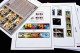 Delcampe - COLOR PRINTED USA 2011-2020 STAMP ALBUM PAGES (101 Illustrated Pages) >> FEUILLES ALBUM - Pré-Imprimés