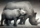 RINOCERONTE Animales Vintage Tarjeta Postal CPSM #PBS731.ES - Rinoceronte