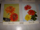 Lot De 8 CP CARTE POSTALE BONNE FETE FLEURS DIVERSES - Vierge - Autres & Non Classés