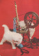 CAT KITTY Animals Vintage Postcard CPSM #PAM300.GB - Katzen
