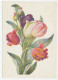 Postal Stationery Soviet Union 1960 Flower - Tulip - Andere & Zonder Classificatie