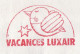 Delcampe - Meter Cover Luxembourg 1989 Luxair - Air Navigation Company - Avions