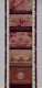 Films HELIO COLOR Pour PATHEORAMA Avec Boite D'origine - Contes Scientifique N°24 La Compagne Du Pagure - Pellicole Cinematografiche: 35mm-16mm-9,5+8+S8mm