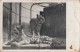 Zagreb - City Zoo , Tiger Ca.1930 - Croatie