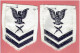 PAIRE D INSIGNES EN TISSU POUR UNIFORME MARINE AMERICAINE Qualification De Technicien En Cryptologie US NAVY - Uniformes