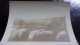 06 BELLE PHOTO DE  LE CANNET LEGENDE  MARS 1899 MOUTONS PRES DU CANNET  BERGERE - Le Cannet