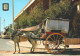 PORTIMÃO, Algarve - Carroça Típica, Costumes  (2 Scans) - Faro