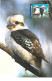 Australia  ** & Postal Stationery, Postage Pre-Paid, Laughing Kookabirra, Dacelo Novaeguineae 2005 (346188) - Other & Unclassified