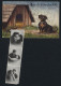 Leporello-AK Ein Dackel Vor Seiner Hundehütte, Innige Fotos Eines Paares Darin  - Chiens