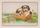 DOG Animals Vintage Postcard CPSM #PAN552.A - Chiens