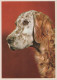 HUND Tier Vintage Ansichtskarte Postkarte CPSM #PAN431.A - Chiens