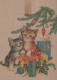 CAT KITTY Animals Vintage Postcard CPSM #PAM601.A - Katzen