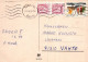 GATO GATITO Animales Vintage Tarjeta Postal CPSM #PAM312.A - Chats