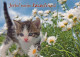 KATZE MIEZEKATZE Tier Vintage Ansichtskarte Postkarte CPSM #PBR018.A - Chats