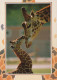 JIRAFA Animales Vintage Tarjeta Postal CPSM #PBS956.A - Jirafas