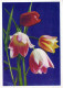 FLOWERS Vintage Postcard CPSM #PAR442.GB - Bloemen