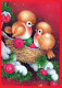 PÁJARO Animales Vintage Tarjeta Postal CPSM #PAM938.ES - Oiseaux