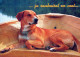 HUND Tier Vintage Ansichtskarte Postkarte CPSM #PAN563.DE - Dogs